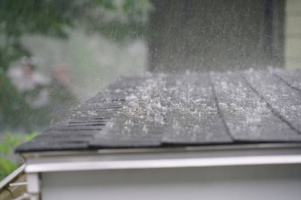 Best Solar Panel Roofing Installation  in Bedford, TX